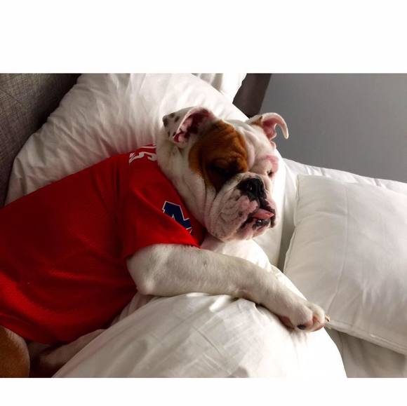 Meet your Posher, Liz - Picture 1 of 1